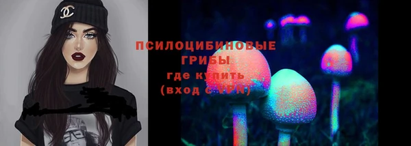 амф Алексеевка