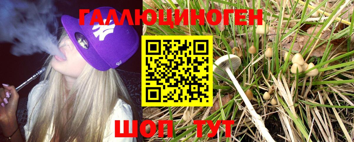 Галлюциногенные грибы мухоморы  как найти закладки  Гай 