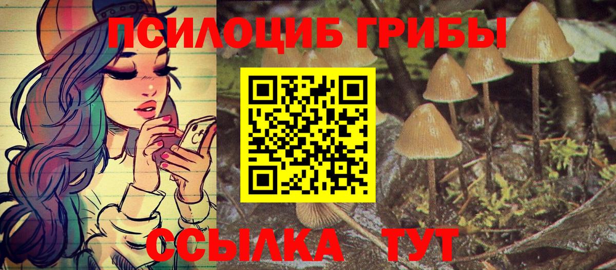 Псилоцибиновые грибы GOLDEN TEACHER Гай