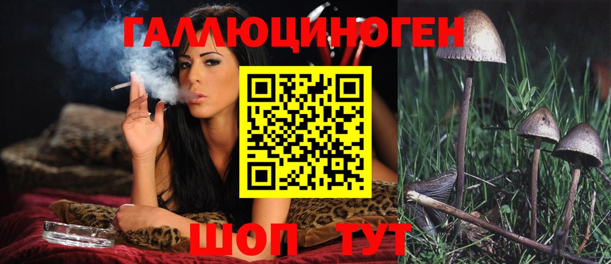 Псилоцибиновые грибы Magic Shrooms  Псилоцибиновые грибы GOLDEN TEACHER  Вход с VPN  Гай 